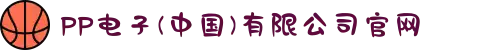 PP电子(中国)有限公司官网